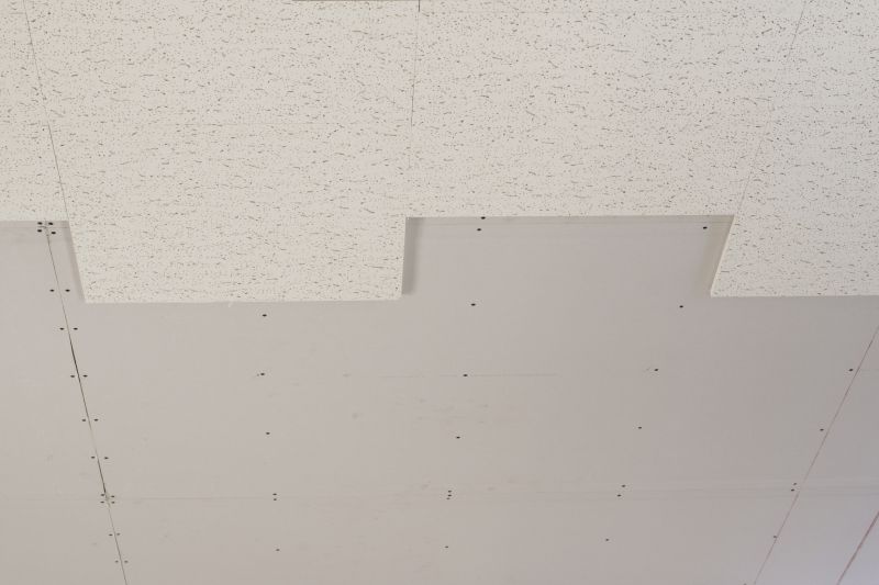 Acoustic Ceiling Installation in Longmont, CO