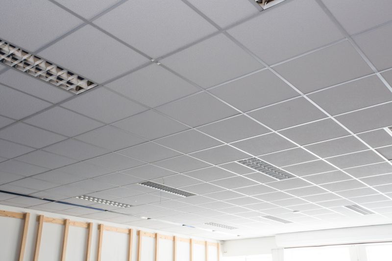 Acoustic Ceiling Installation in Boulder, CO
