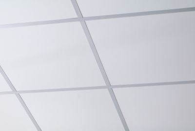 Decorative Ceiling Tiles