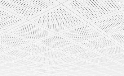 Acoustic Ceiling Tiles in a Conference Room