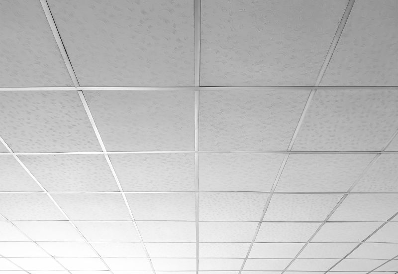 Grid Ceiling Installation in Longmont, CO