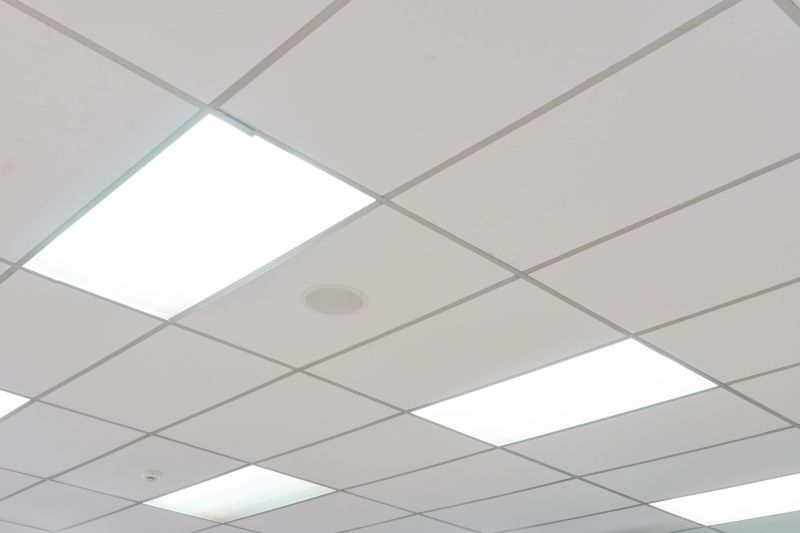Ceiling tiles add a stylish and finished look to any space